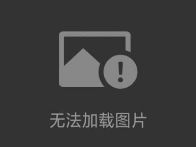 代理意大利LOGICA木屑手持木材濕度儀